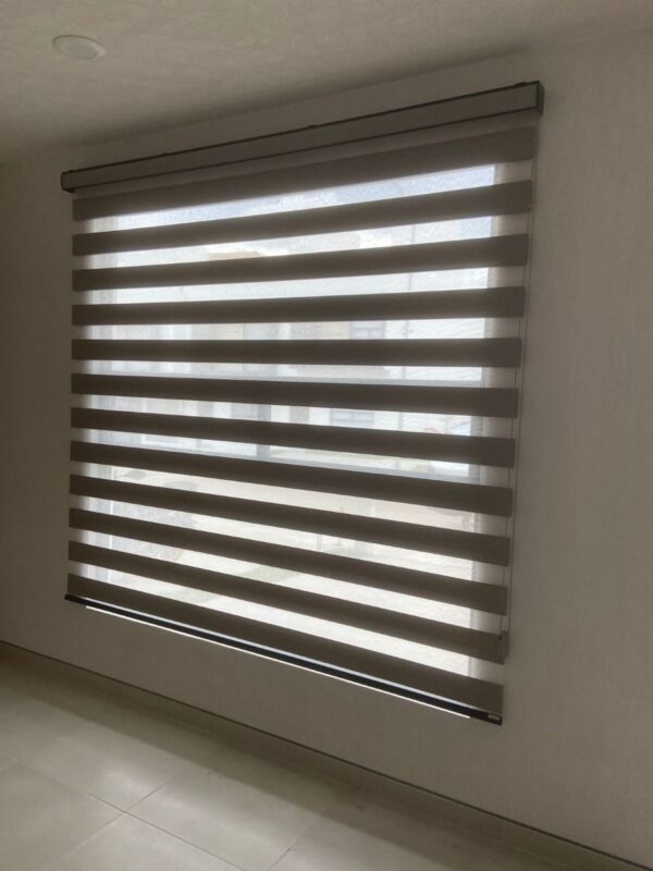 Zebra Blinds