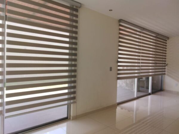 Zebra Blinds