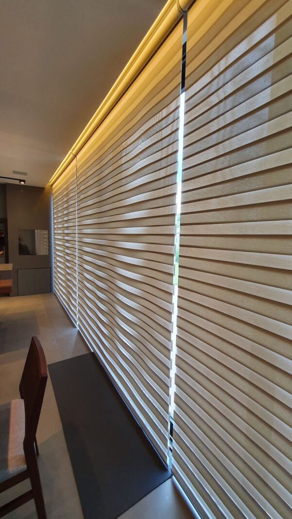 Zebra Blinds