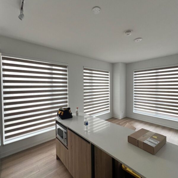 Zebra Blinds