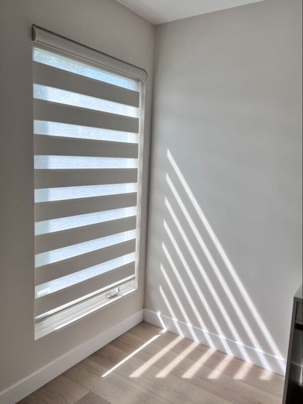 Zebra Blinds