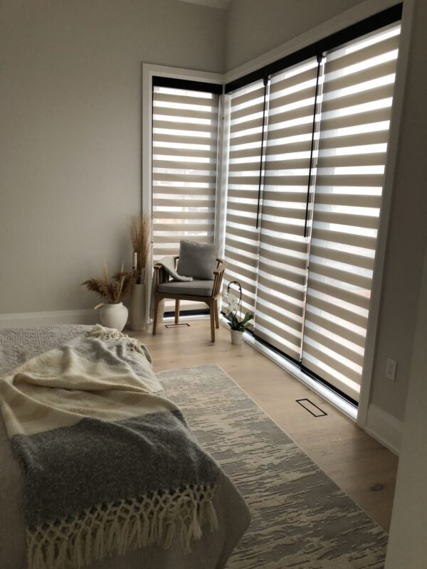 Zebra Blinds