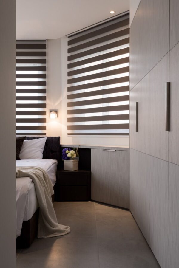 Zebra Blinds