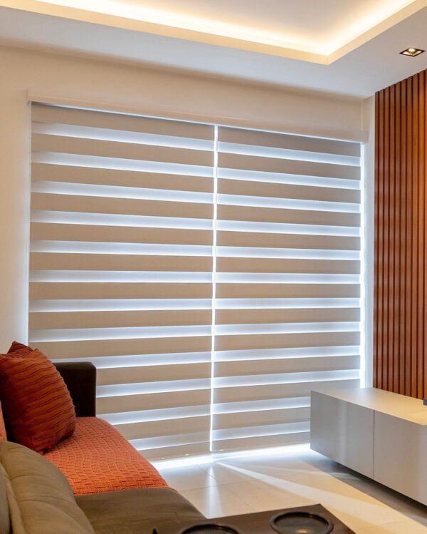 Zebra Blinds