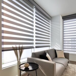 Zebra Blinds