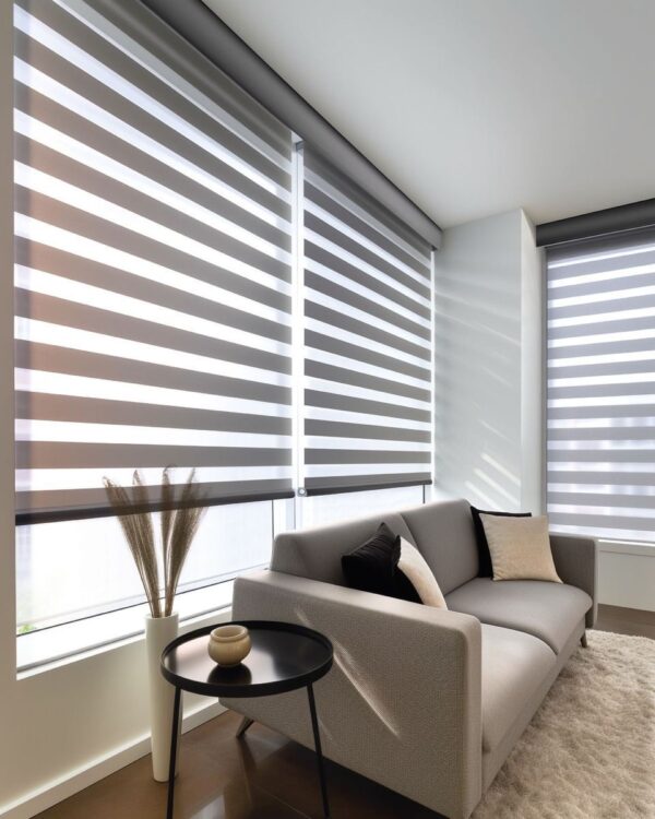 Zebra Blinds