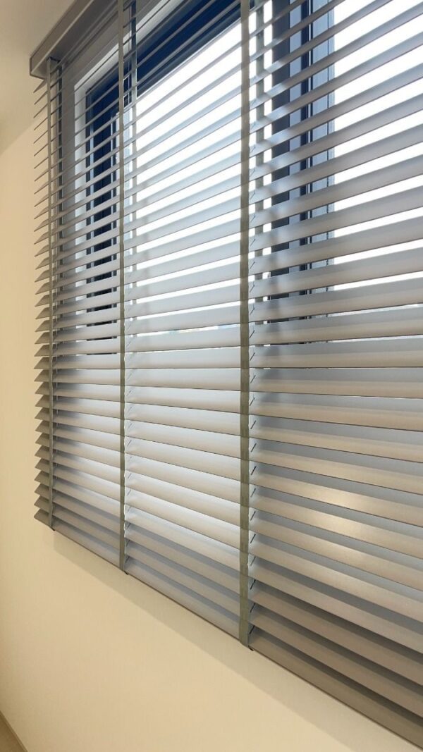 Zebra Blinds