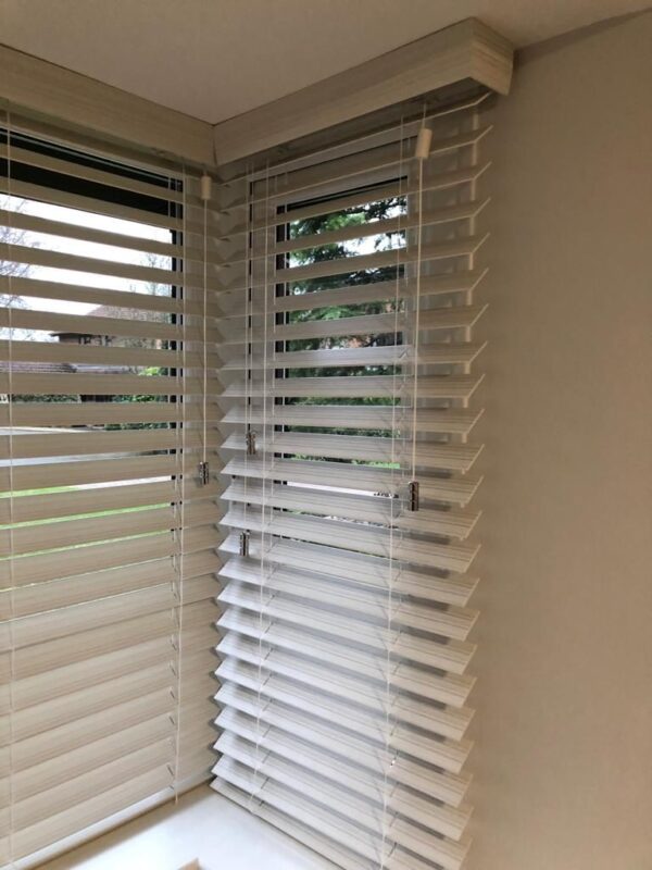 Zebra Blinds