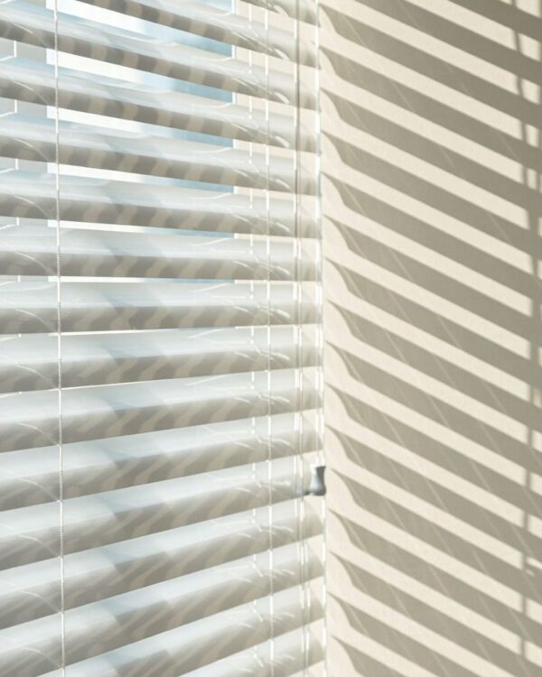 Zebra Blinds